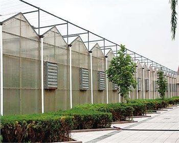 規(guī)模大，質(zhì)量好