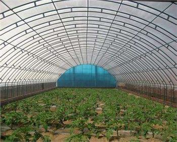 技術(shù)專(zhuān)業(yè)，服務(wù)到位